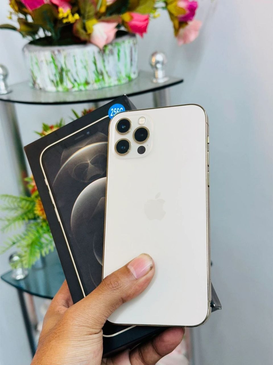 Iphone 12 Pro Max